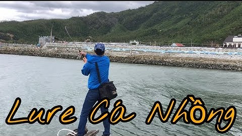 LURE CÁ NHỒNG - SÔNG CẦU - PHÚ YÊN | Hung Truong JP |
