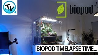 The Charterhouse Team Set-Up A Biopod Aqua