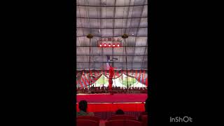 🎪 Step Into the Magical World of the Circus | Amazing Performances You Must See! ✨