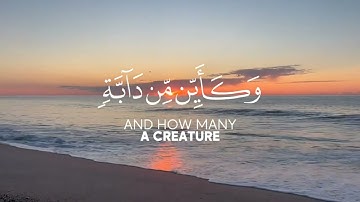 سورة العنكبوت الآية {59-60} القارئ عبد الرحمن مسعد