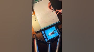 Come study anatomy and gesture draw with me! #art #anatomy #gesturedrawing #figuredrawing