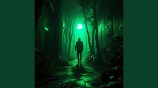 Lonely Echo Lost In Time
