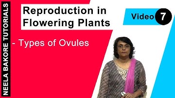 Reproduction in Flowering Plants | NEET | Types of Ovules | Neela Bakore Tutorials