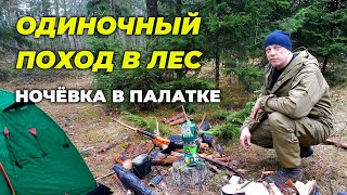 Одиночный поход в лес с ночёвкой в палатке. Готовка на костре