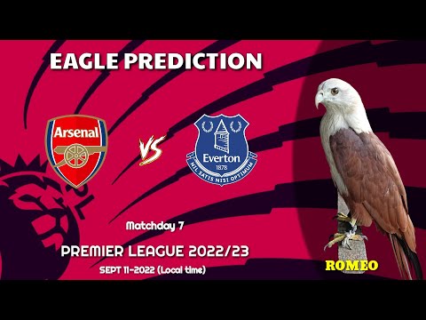Premier League 2022/23 | Arsenal vs Everton | Eagle Prediction