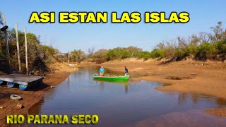 Recorriendo Isla Adentro Te Muestro Los Impactos De La Bajante Del Río Paraná