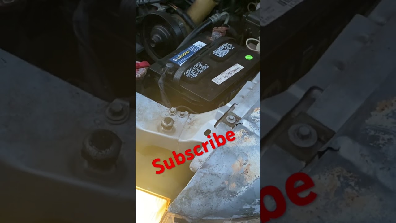 Mustang shenanigans, tune in & subscribe! 