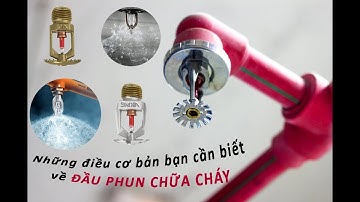 Kiến thức cơ bản khi sử dụng đầu phun chữa cháy (Basics Sprinkler System)