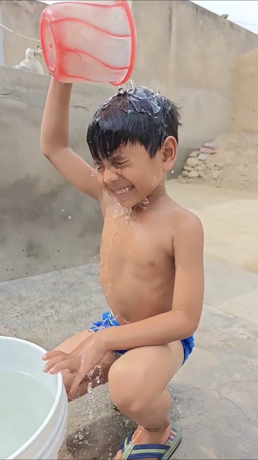 Tu Mera Dil ? #shorts #viralvideo