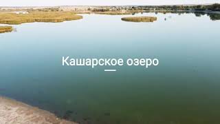 Кашары и Кашарское озеро Ростовская область