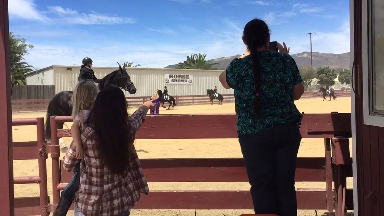 Ventura County Fair Horses YouTube