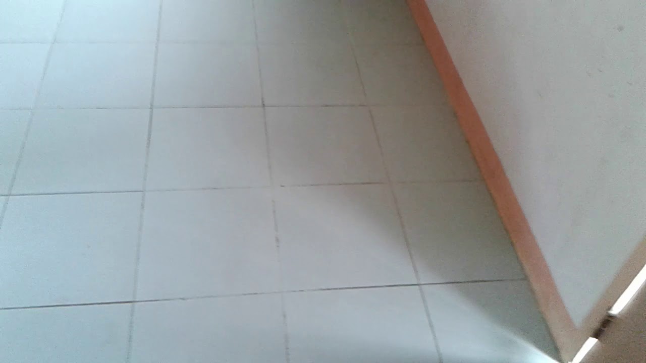 My lil puppy YouTube