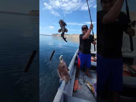 #pesca #pescaartesanal #pescaesportiva