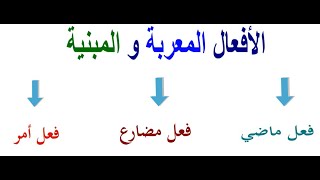 الأفعال المعربة و المبنية في اللغة العربية