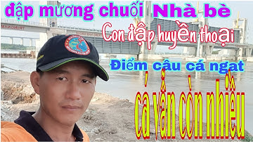 Câu cá ngát đập mương chuối nhà bè cá vẫn còn nhiều/sống và đam mê