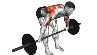 Best Shoulder Workouts