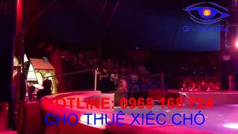 CUng cấp ảo thuật, cho thuê ảo thuật xiếc khỉ LH:0968 168 724