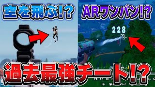 過去最高にやばいチーターを見つけてしまった...【フォートナイト / Fortnite】