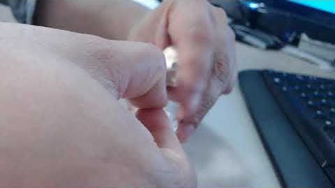 Ussing Chamber CHM1 and CHM6