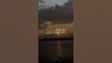 الله نور السموات والأرض سورة النور بصور الشيخ القارئ محمد صديق المنشاوي 