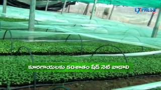 Benefits of shade net nursery - Paadi Pantalu