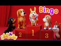 Bingo playground song  nursery rhymes  kids songs  kindergarten  elefaanty