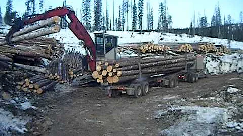 Loading a Logging Truck