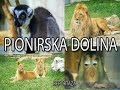 Pionirska dolina REPORTAZA