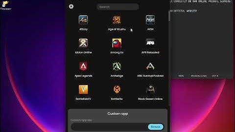 HOW TO USE PINGZAPPER ON RAN ONLINE 2025