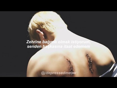 Bts - Blood Sweat & Tears | Türkçe Çeviri