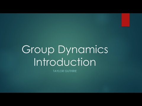 Group Dynamics: What