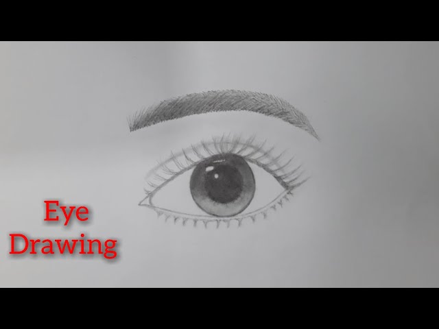 How To Sketch An Eye, Step by Step, Drawing Guide, by quynhle - DragoArt