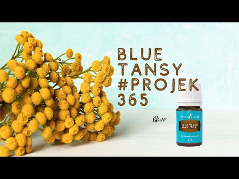 Video 5:365: Blue Tansy Untuk Kulit Sihat Dan Berseri