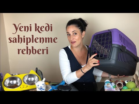 Video: 5 Pawstive Nedenleri Neden Kediler Kalplerimizi Çaldırıyor?