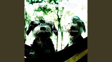 Pulsating Moods for Sleeping Puppies