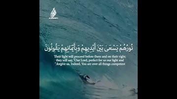 يَا أَيُّهَا الَّذِينَ آمَنُوا تُوبُوا إِلَى اللَّهِ تَوْبَةً نَّصُوحًا سورة التحريم( الآية 8)العجمي