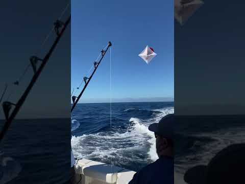 Releasing the Kite