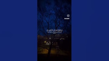 #قرآن #تلاوات_جميلة #تيك_توك #الرحمن #quran #لايك #اكسبلور