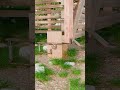 Automatic gate latch. #latch #diy
