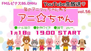 アニ☆ちゃん6家族紹介　クイズもあるよ～！　可愛いくて珍しい動物のスライドショー＆生態を知る！　パーソナリティー：動物博士はる　2023/1/18放送19時～
