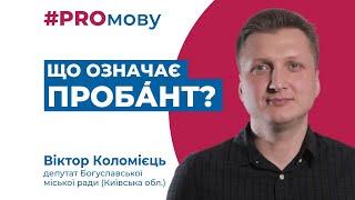 Партія «Пропозиція» створила навчальну платформу «Вчимо українську разом»