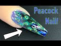 Peacock Nail | Acrylic Nails | Nail Sugar