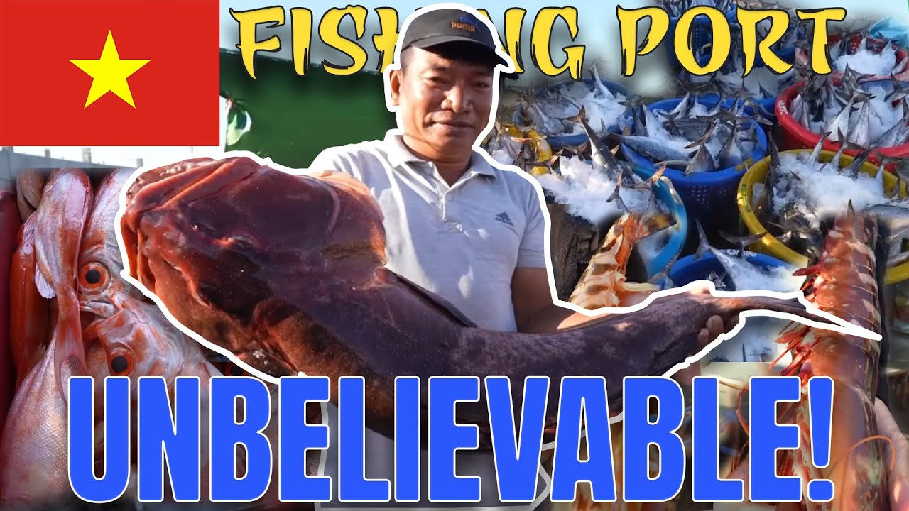 VIETNAM TRADITIONAL MARKET | EXPLORING LIEN HUONG FISHING PORT, TUY PHONG, BINH THUAN