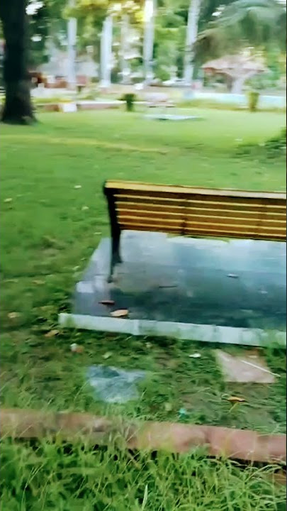 shandar park #vairalshorts #shortvideo #shortsfeed