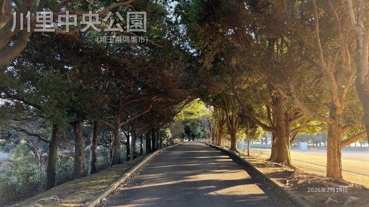 【環境音のみ】早朝散歩｜鴻巣市 川里中央公園｜2026.02.14