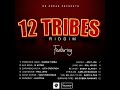 Shawn Timba - Promised Land (12 Tribes Riddim)