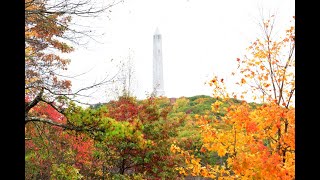 Fall Foliage of New Jersey 2021