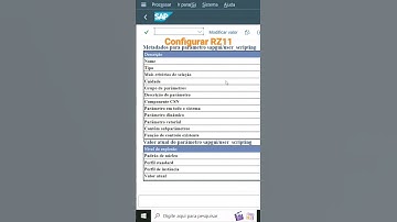 03 Como configurar o script no servidor SAP (transação RZ11) e no SAP Gui