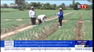 Khmer Agriculture - Garlic Farming in Cambodia - Farmer Models of Garlic Farming