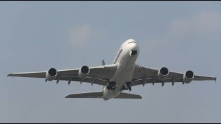 Plane Spotting From Myrtle Avenue - London Heathrow (LHR)